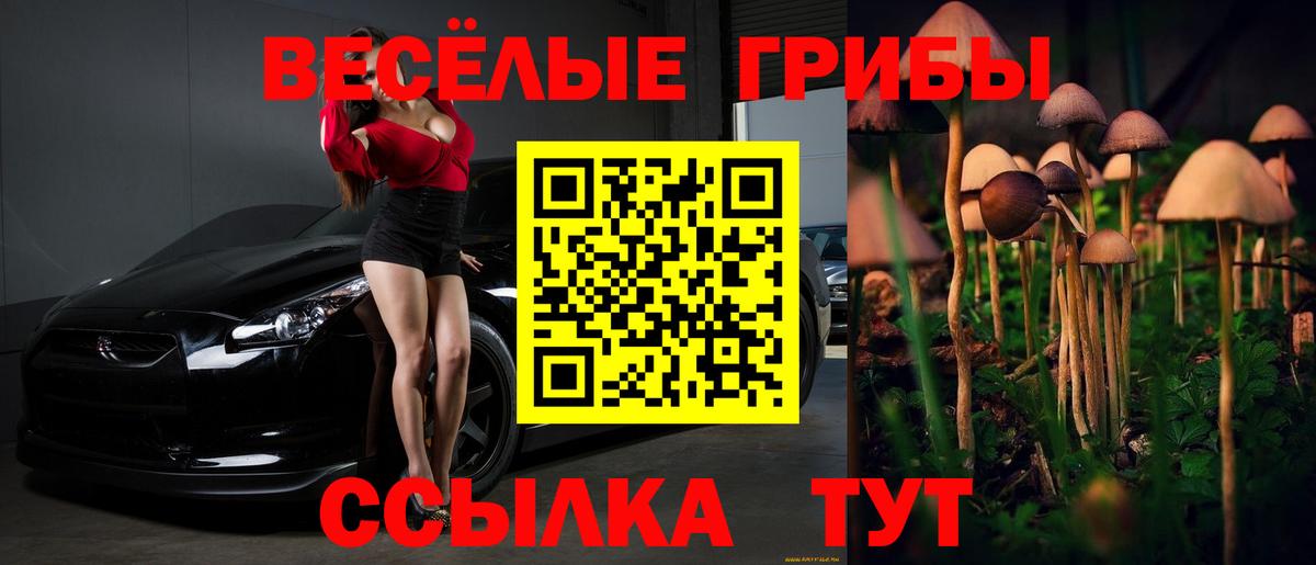 Галлюциногенные грибы ЛСД  Галлюциногенные грибы MAGIC MUSHROOMS  Вятские Поляны  Вход с VPN 